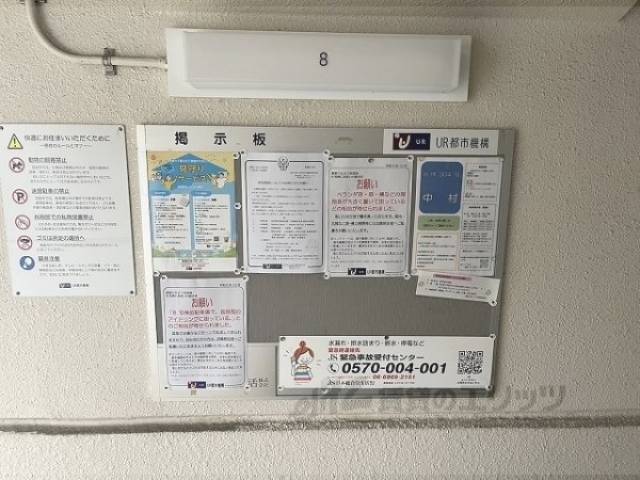 掲示板