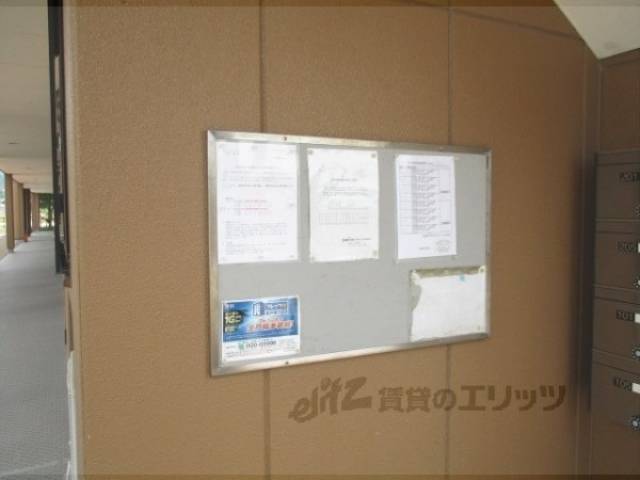 掲示板