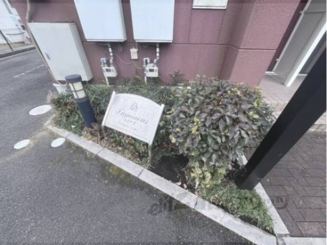 植栽