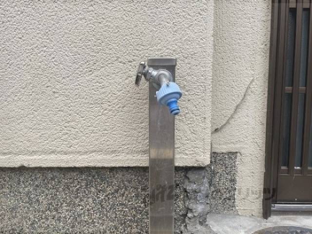 蛇口