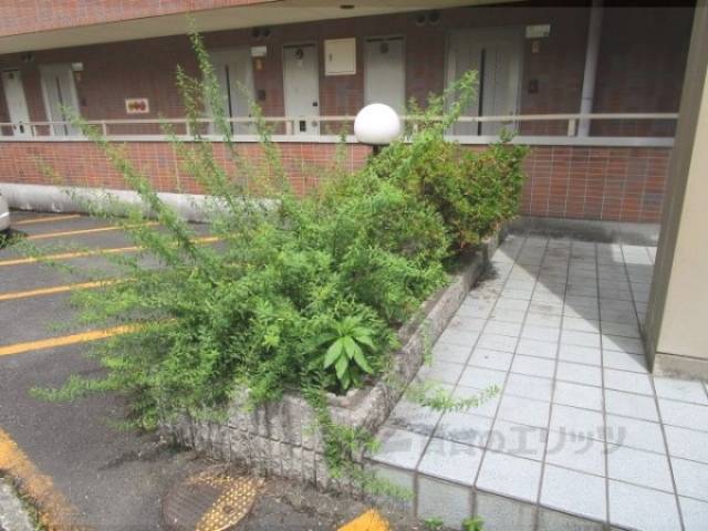 植栽