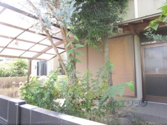 植栽
