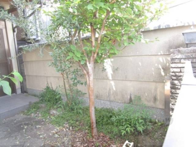 植栽