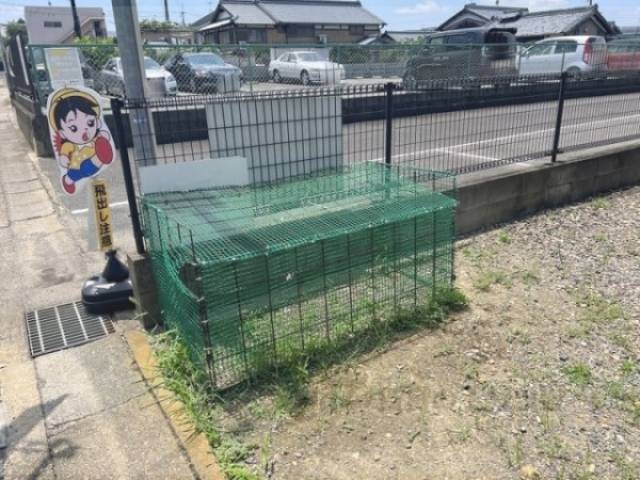 ゴミ置き場