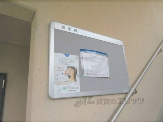 掲示板
