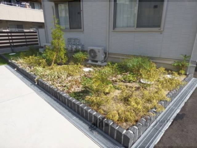 植栽