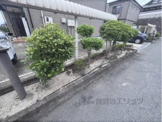 植栽
