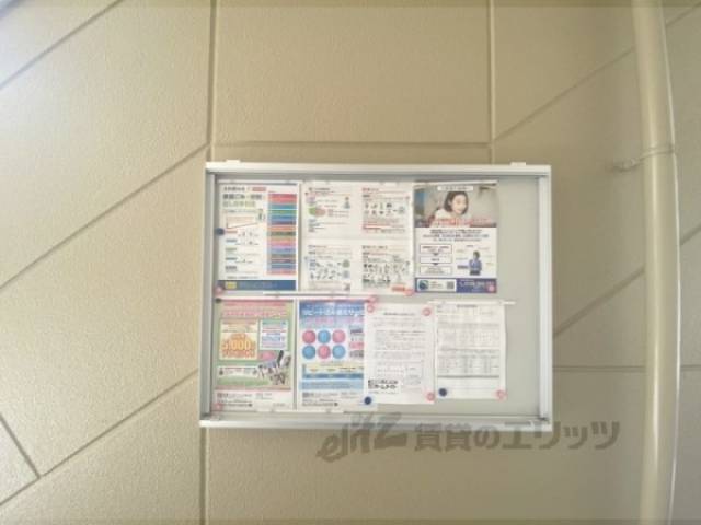 掲示板