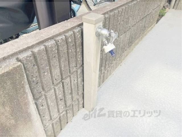 蛇口