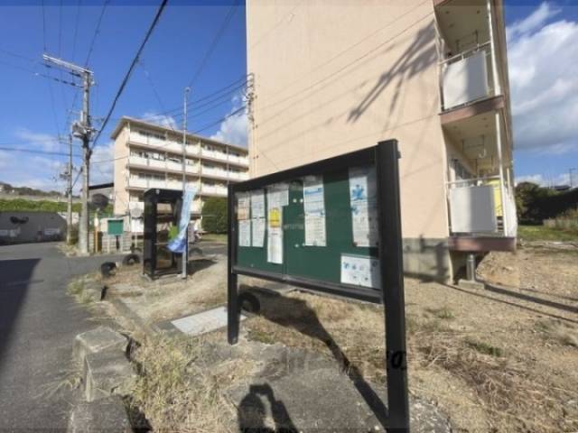 掲示板