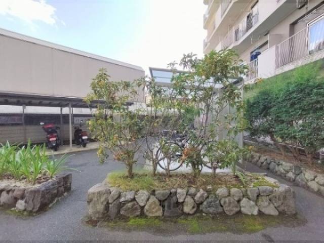 植栽