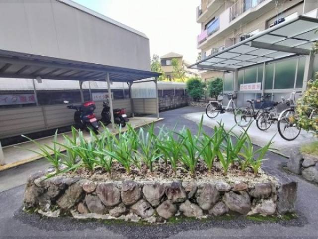 植栽