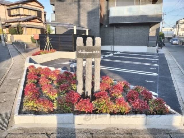 植栽