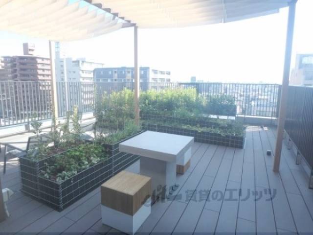 屋上