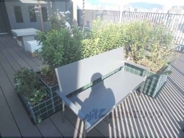 屋上
