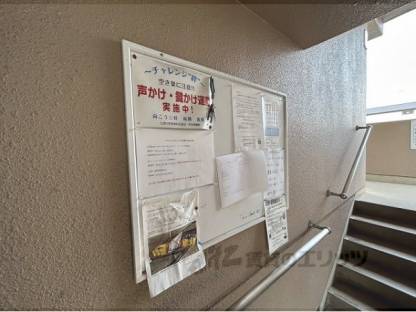 掲示板