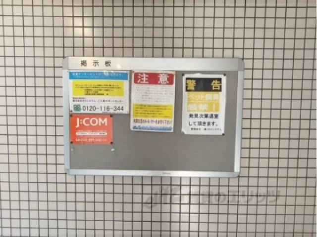 掲示板