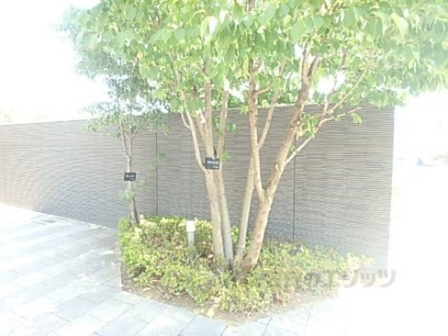 植栽