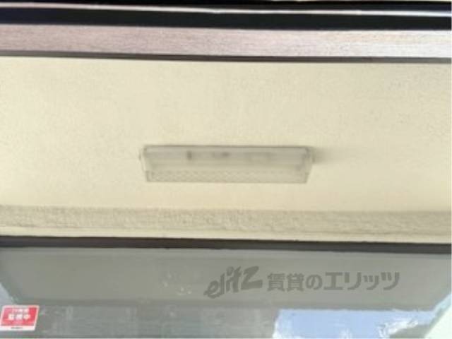 照明