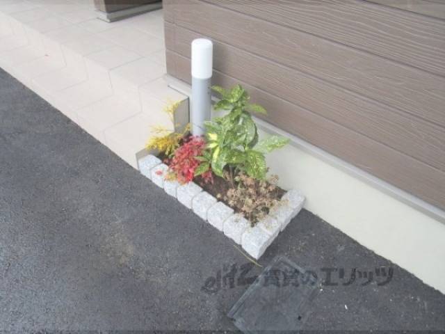 植栽