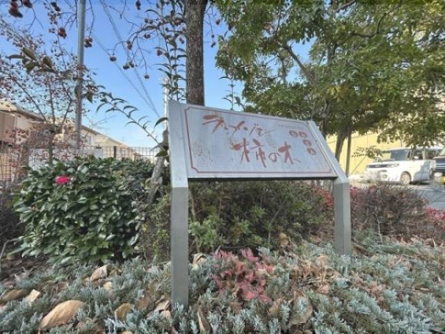 インフォメーション