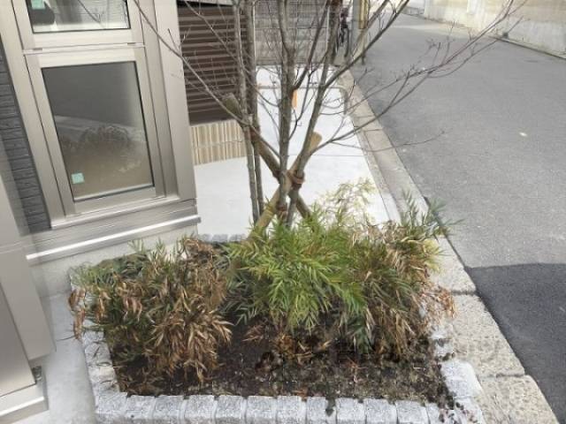 植栽