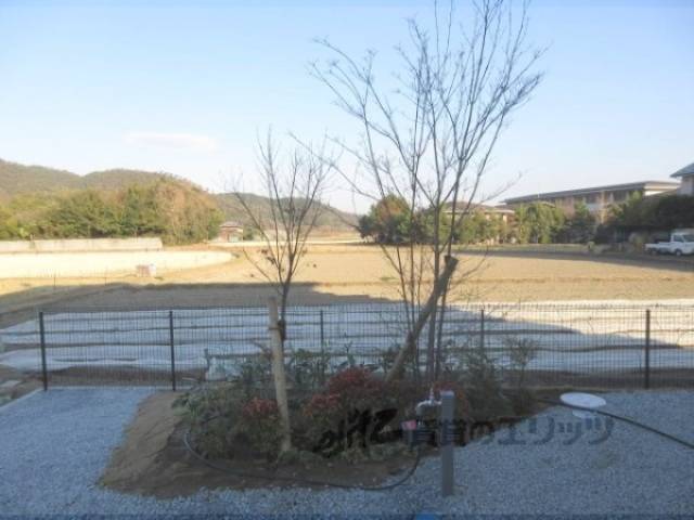 植栽