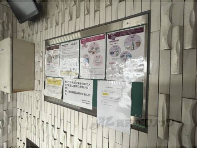 掲示板