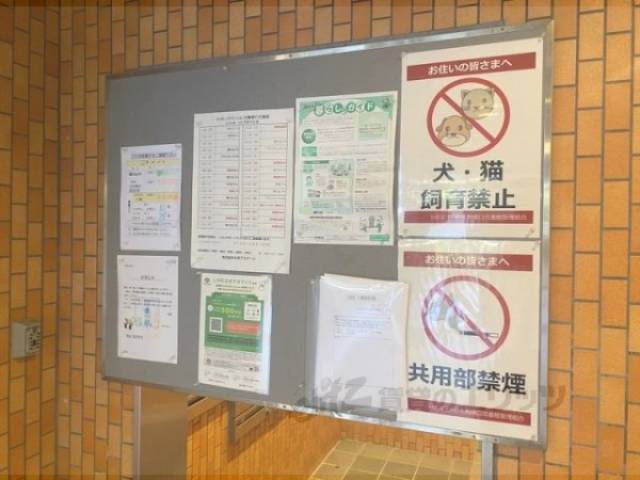 掲示板