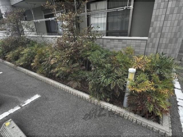 植栽