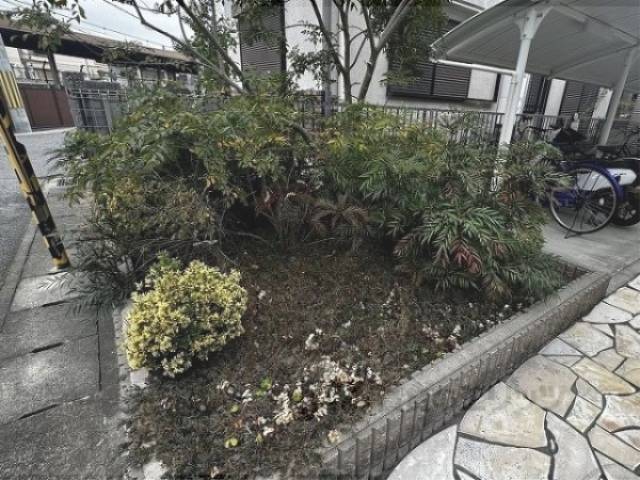 植栽