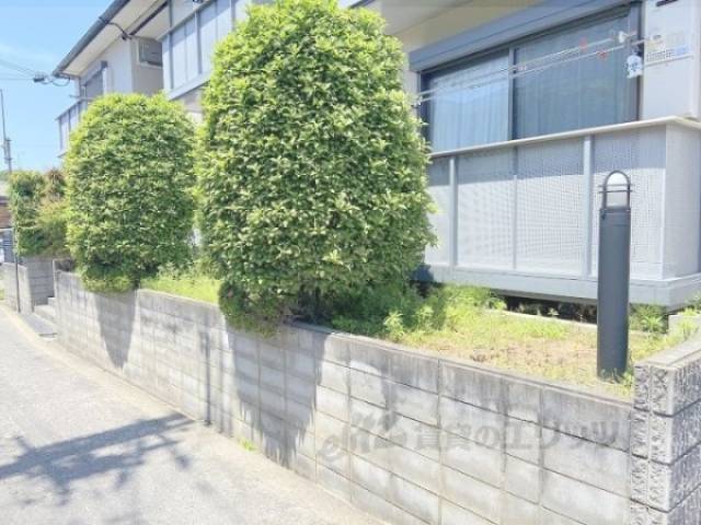 植栽