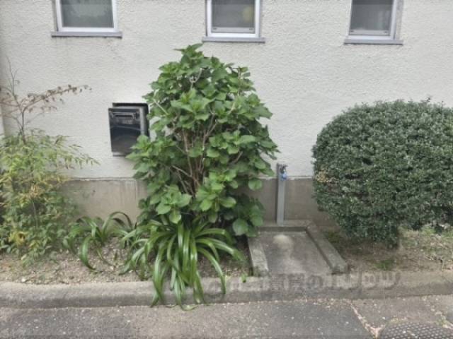 植栽