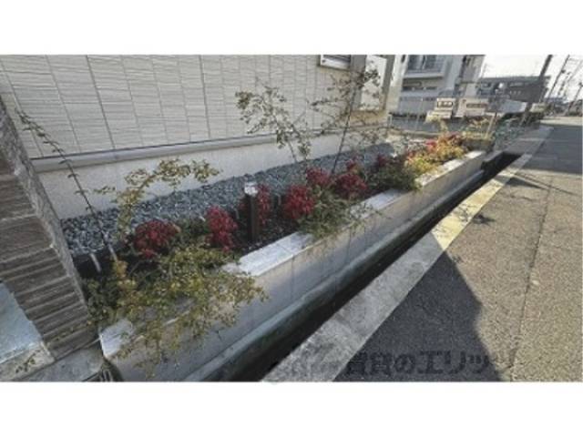 植栽