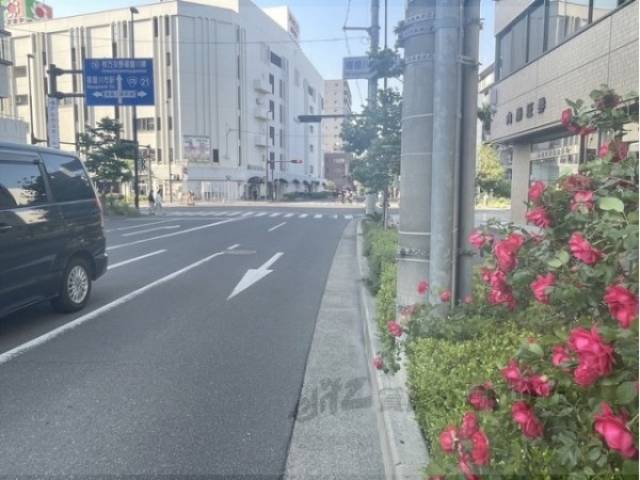 前面道路