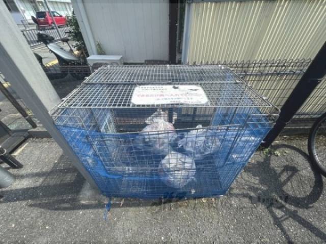 ゴミ置き場