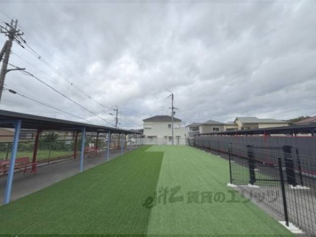 ドッグラン