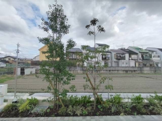 植栽