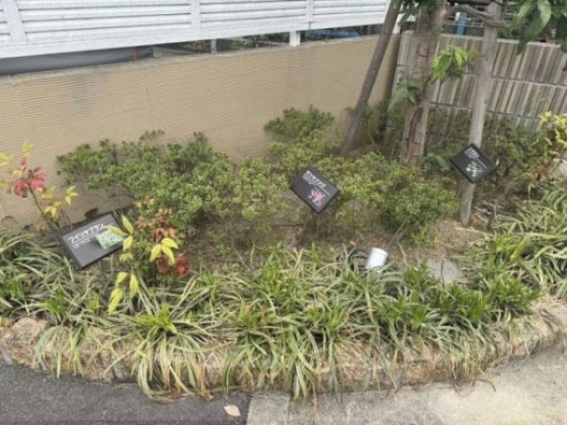 植栽