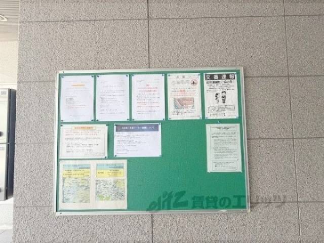 掲示板