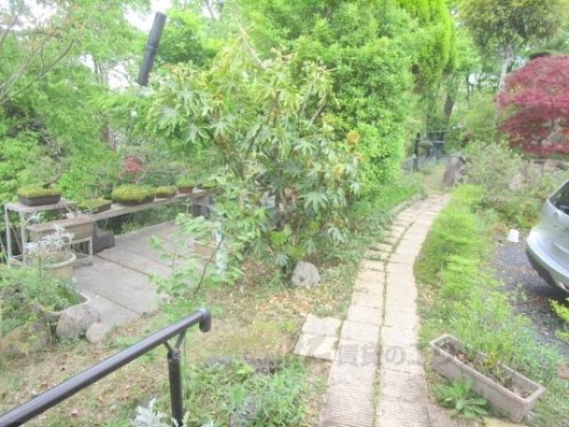 庭