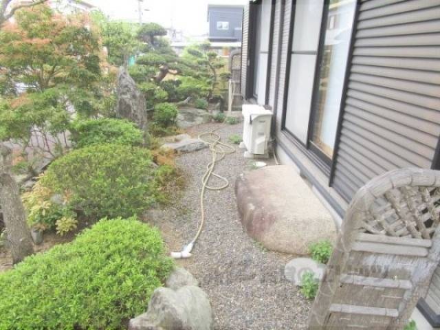 庭
