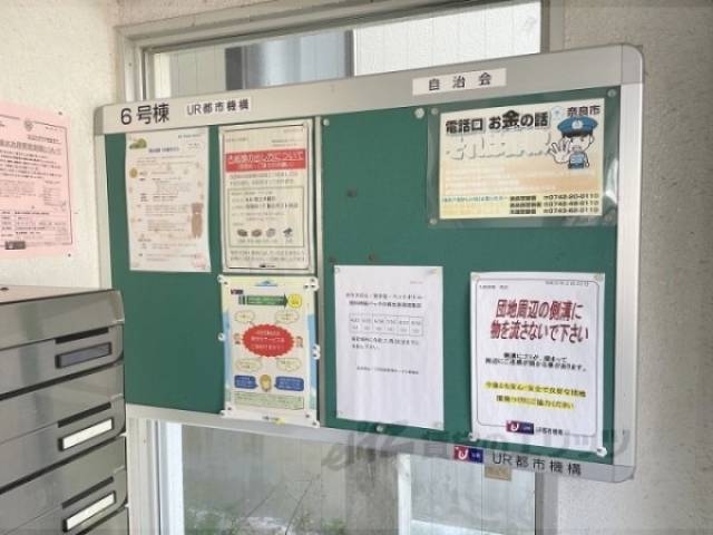 掲示板
