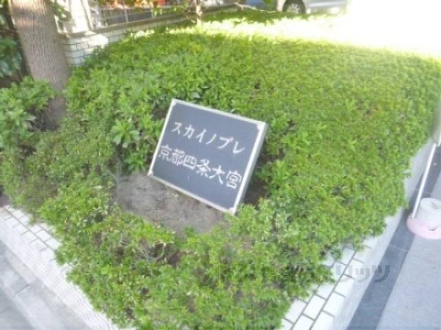 植栽