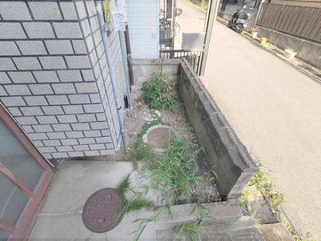 植栽