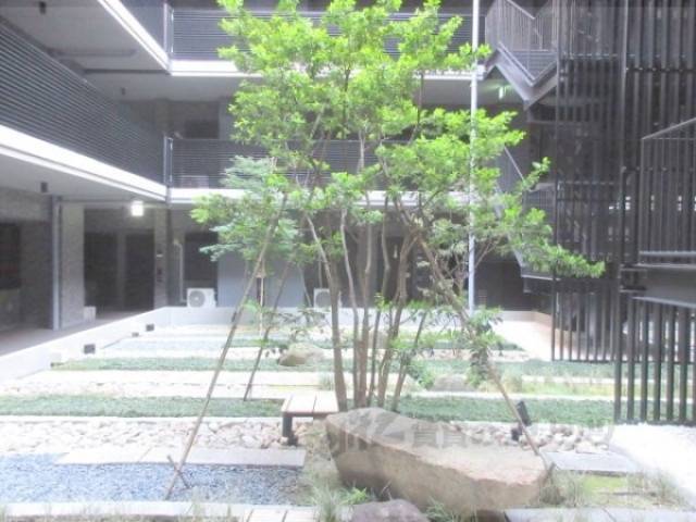 植栽