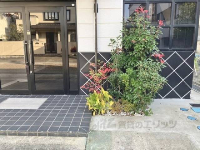 植栽