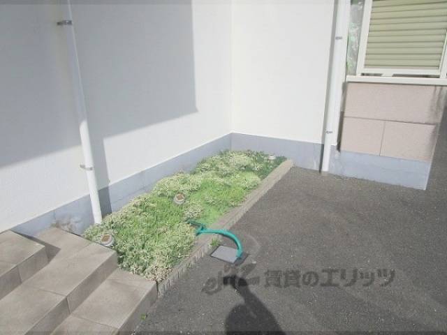 植栽