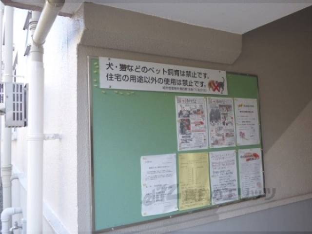 掲示板