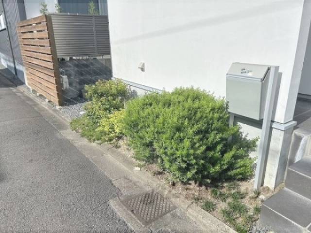 植栽